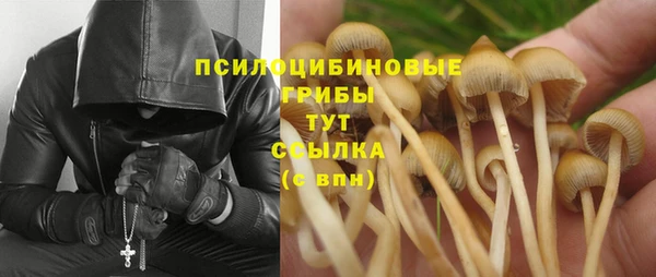 apvp Абаза