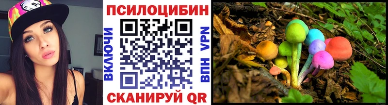 Галлюциногенные грибы мицелий кракен Елизаветинская